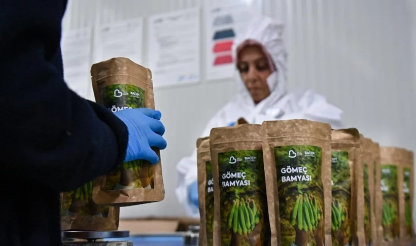 Balıkesir’den Ekranlara: Ahmet Akın “Görkemli Hatıralar”da Bamya Cipsi ve Limon Otunu Tanıttı! - Resim: 2