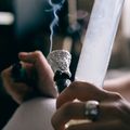 Kiffer-Studie behauptet: "Cannabis ist gar keine Einstiegsdroge"